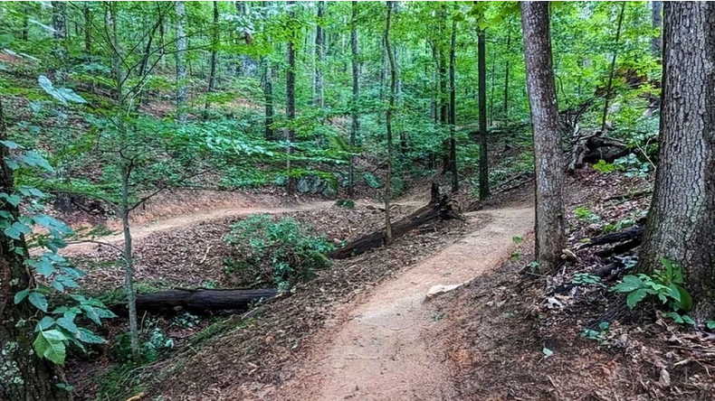 Preview image of New mountain biking trails open on Aetna Mountain
